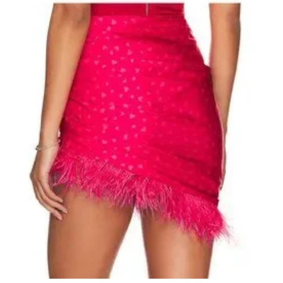 Lovers + Friends Dresses & Skirts - NWT Lovers + Friends “Maisey” Skirt Mini Pink Heart Coquette Ostrich Trim Size M